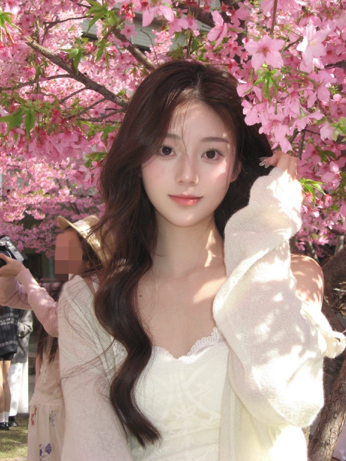 和Schema结构化数据的配合