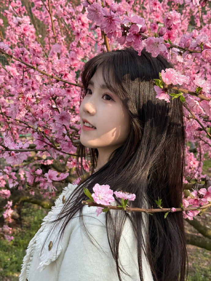 在自动化站群系统中的角色