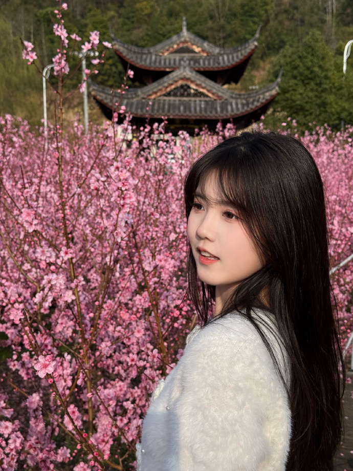 的分布式架构实现方案