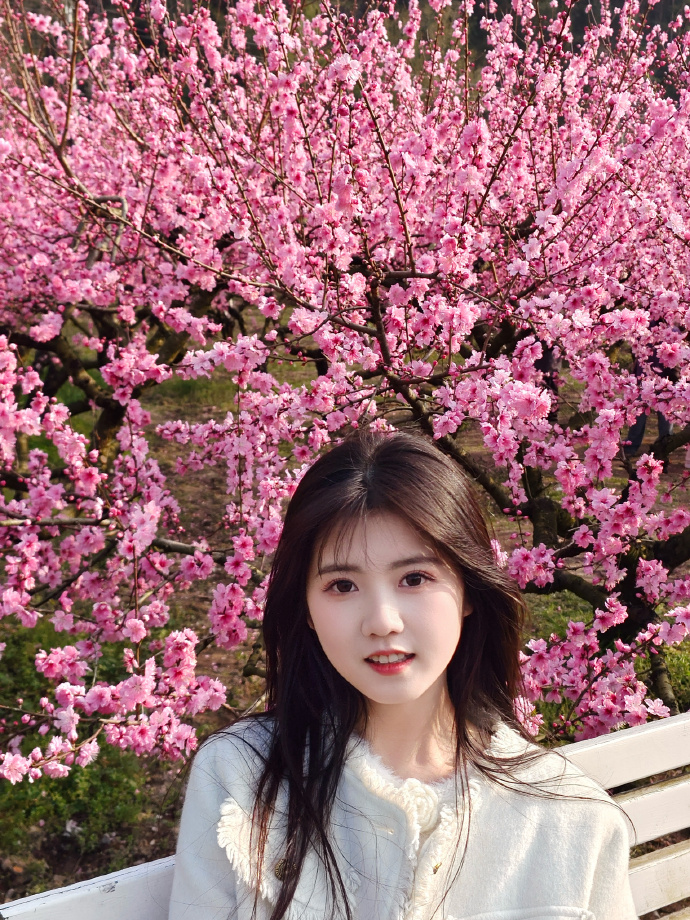 在营销型网站SEO中的适配场景