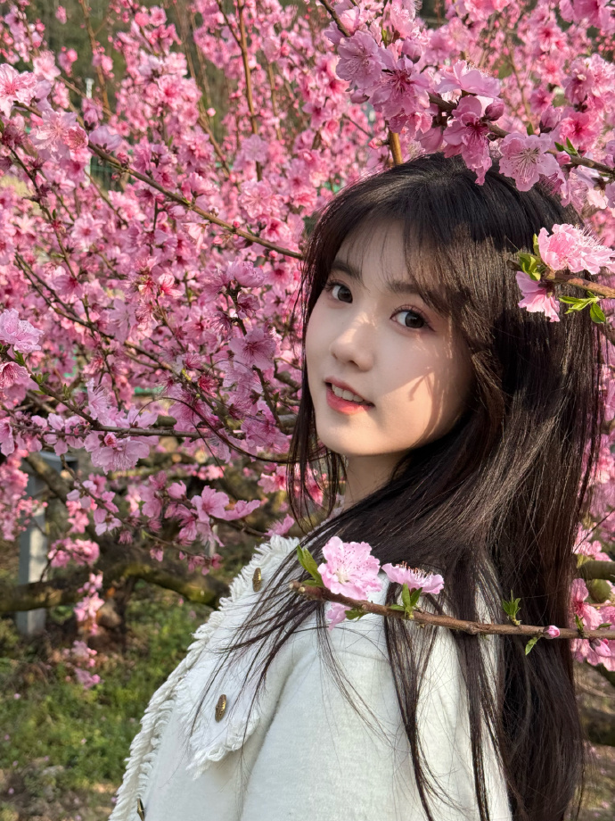 在小程序内容优化中的使用方式