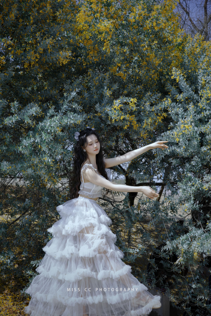 对外语站点SEO的实战意义